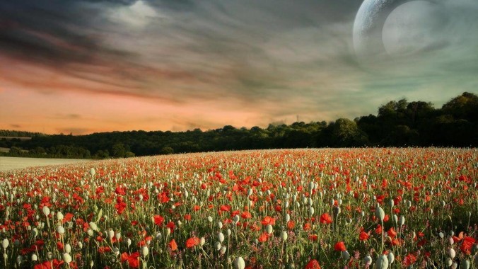 扫黑风暴为什么他们费老大劲杀这么多人不如直接把督导组干掉？